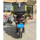 Электроскутер FORTE UNICORN EV Зеленый