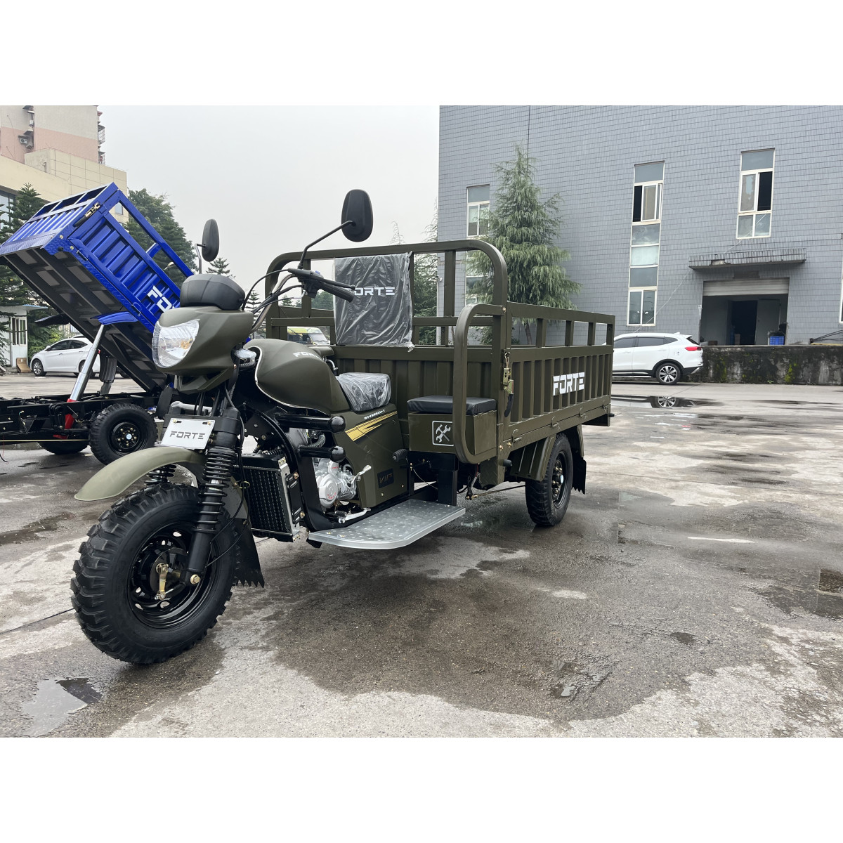 Мотоцикл вантажний ATV250ZH-T Forte Зелений