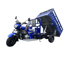 Мотоцикл грузовой CT-302H Forte Синий
