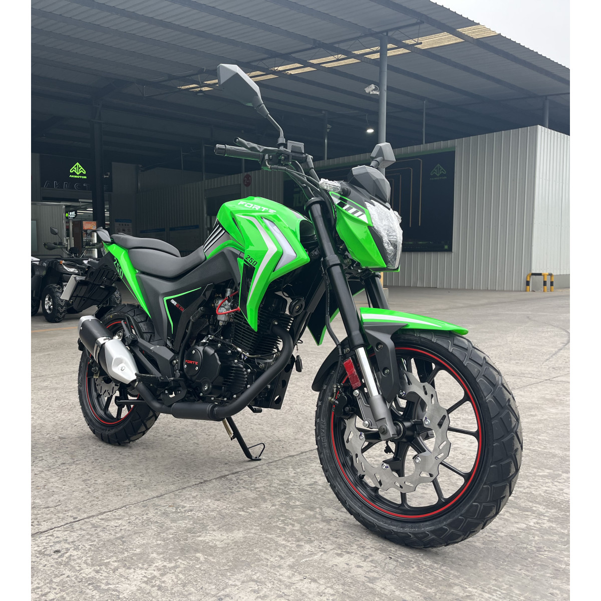 Мотоцикл BS-250 Forte Черно-зеленый