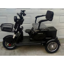 Электроскутер FORTE FAMILY MAX черный