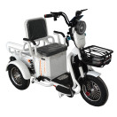 Электроскутер FORTE СARGO Белый