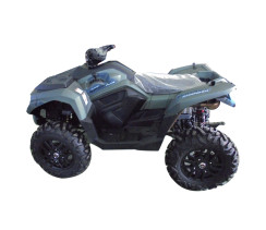 Квадроцикл ACCESS FF800UL зелений