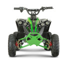 Квадроцикл аккумуляторный FORTE ATV1200QB зеленый