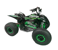 Квадроцикл акумуляторний FORTE ATV1000I Чорно-зелений