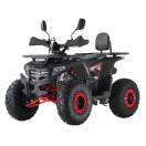Квадроцикл FORTE ATV125F чорно-червоний