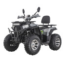 Квадроцикл FORTE ATV-200G PRO зелено-сірий