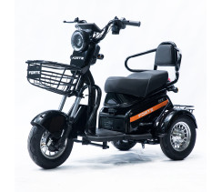 Трицикл аккумуляторный Forte S1-P600 Черный