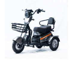 Трицикл акумуляторний Forte S1-P600 Сірий