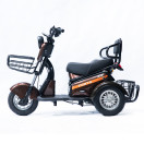 Трицикл аккумуляторный Forte S1-P600 Коричневый