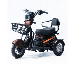 Трицикл аккумуляторный Forte S1-P600 Коричневый