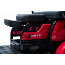 Трицикл аккумуляторный Forte Family-P600, Красный