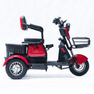 Трицикл аккумуляторный Forte Family-P600, Красный