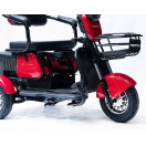 Трицикл аккумуляторный Forte Family-P600, Красный