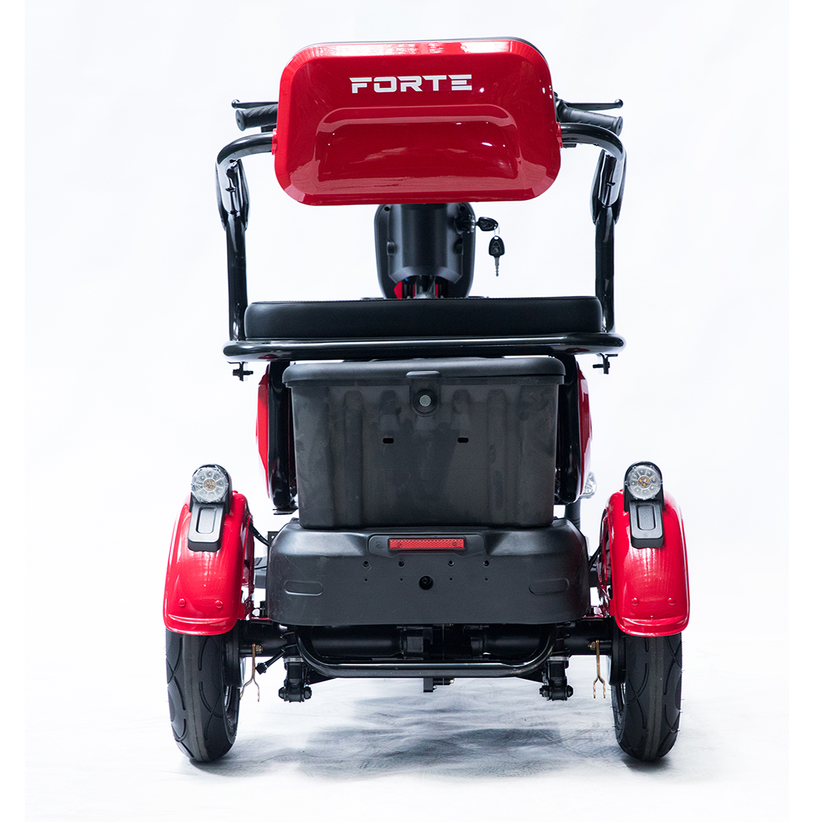 Трицикл аккумуляторный Forte Family-P600, Красный