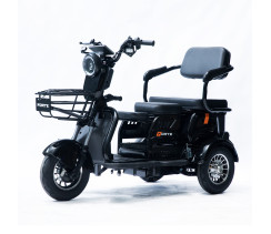 Трицикл аккумуляторный Forte Family-P600 Черный