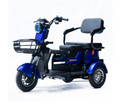 Трицикл аккумуляторный Forte Family-P600 Синий