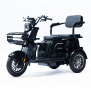 Трицикл аккумуляторный Forte Family-P1000 Черный