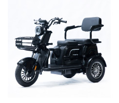 Трицикл аккумуляторный Forte Family-P1000 Черный