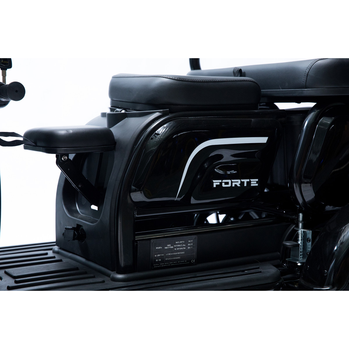 Трицикл аккумуляторный Forte Family-P1000 Черный