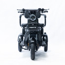 Трицикл аккумуляторный Forte Family-P1000 Черный