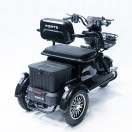 Трицикл аккумуляторный Forte Family-P1000 Черный