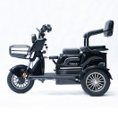 Трицикл аккумуляторный Forte Family-P1000 Черный