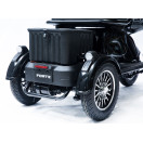 Трицикл аккумуляторный Forte Family-P1000 Черный