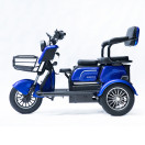 Трицикл аккумуляторный Forte Family-P1000 Синий