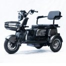 Трицикл акумуляторний Forte Family-P1000 Сірий