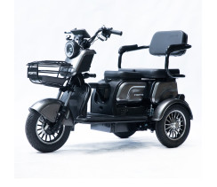Трицикл аккумуляторный Forte Family-P1000 Серый