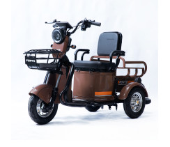 Трицикл акумуляторний Forte CARGO-P650 Коричневий