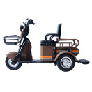 Трицикл акумуляторний Forte CARGO-P650 Коричневий
