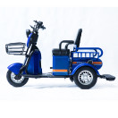 Трицикл аккумуляторный Forte CARGO-P650 Синий