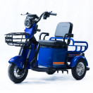 Трицикл аккумуляторный Forte CARGO-P650 Синий