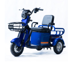 Трицикл акумуляторний Forte CARGO-P650 Синій