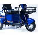 Трицикл аккумуляторный Forte CARGO-P650 Синий