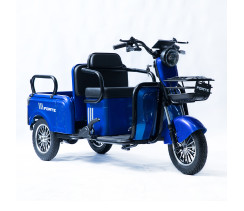 Трицикл аккумуляторный Forte CARGO-P800 Синий