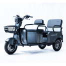 Трицикл аккумуляторный Forte CARGO-WN800 Серый