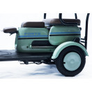 Скутер акумуляторний Forte TRINE-P800 Зелений