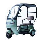 Скутер акумуляторний Forte TRINE-P800 Зелений