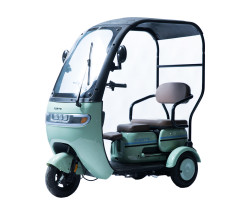 Скутер акумуляторний Forte TRINE-P800 Зелений