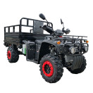Квадроцикл FORTE ATV-250BS-T Черный