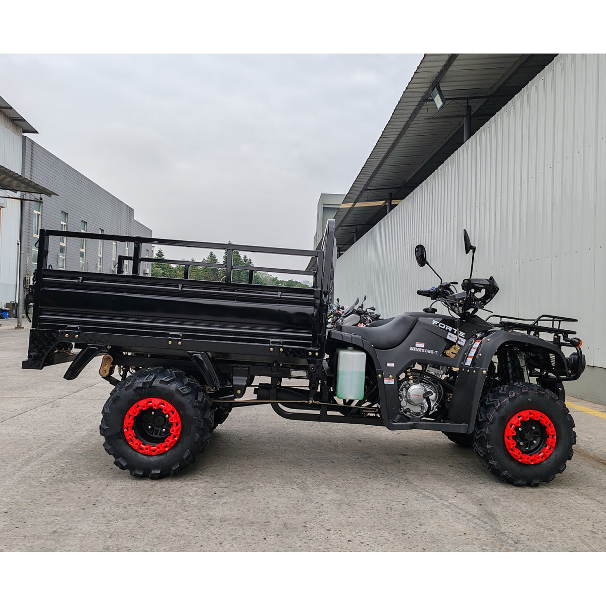 Квадроцикл FORTE ATV-250BS-T Черный