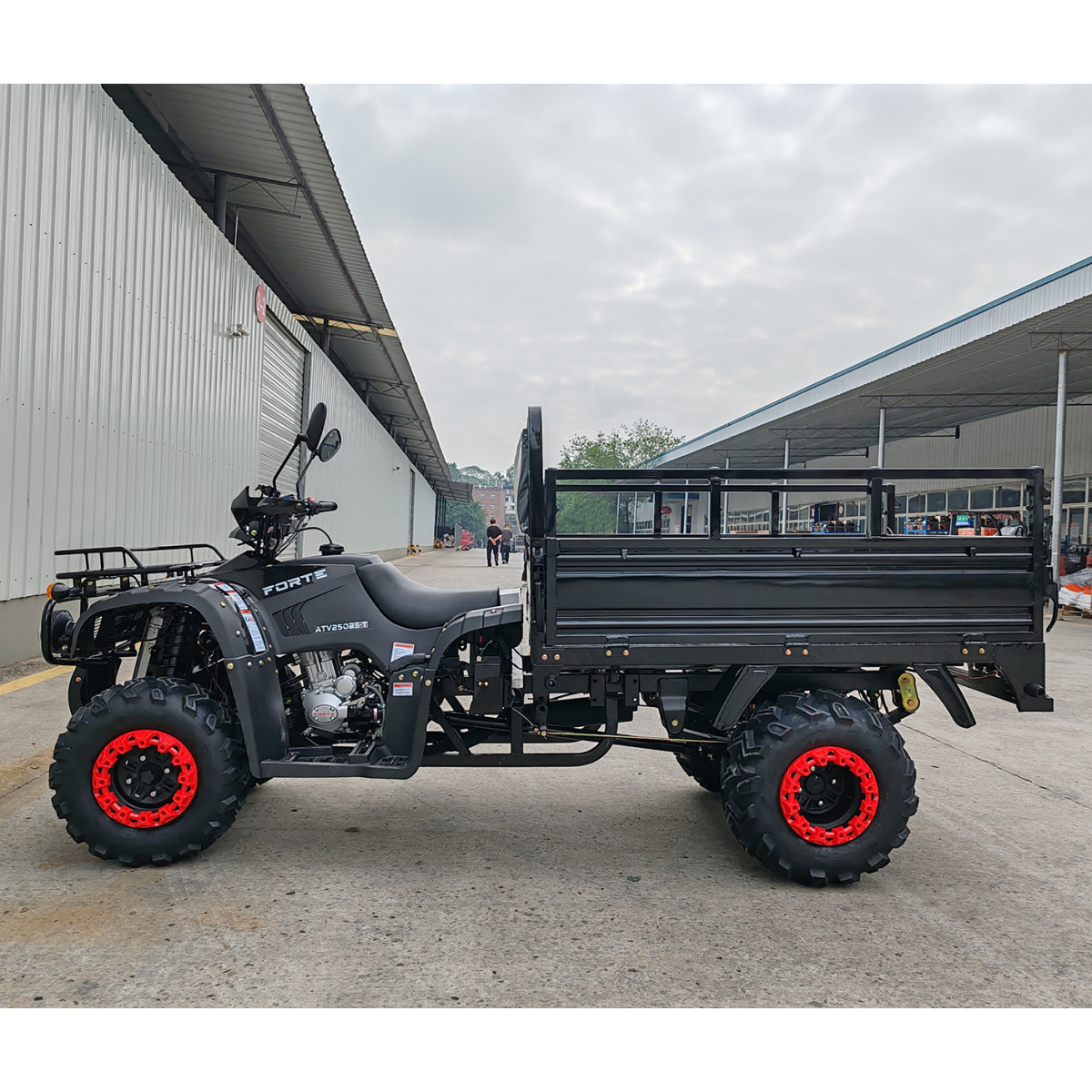 Квадроцикл FORTE ATV-250BS-T Черный