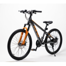 Детский велосипед RoyalBaby KING 25.24-03 серебряный