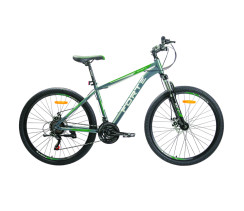 Велосипед Forte Braves 25.2919-25S, к29" р19" зелено-сірий