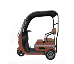 Скутер акумуляторний FORTE TRINE-WS800 коричневий