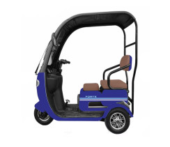 Скутер акумуляторний FORTE TRINE-WS800 синій 