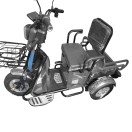 Трицикл аккумуляторный FORTE CARGO-WS600 серый